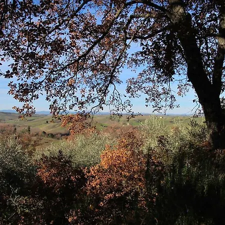 Rustica * Castelmuzio