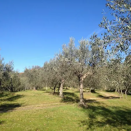 Prázdninový dům Rustica Castelmuzio